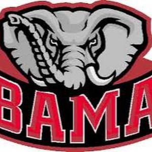 Meet your Posher, Bradey